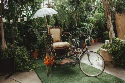 Tropical57