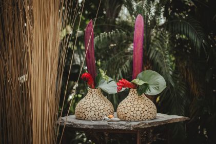 Tropical7