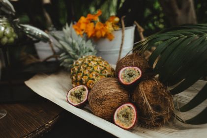 Tropical29