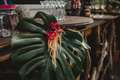 Tropical27