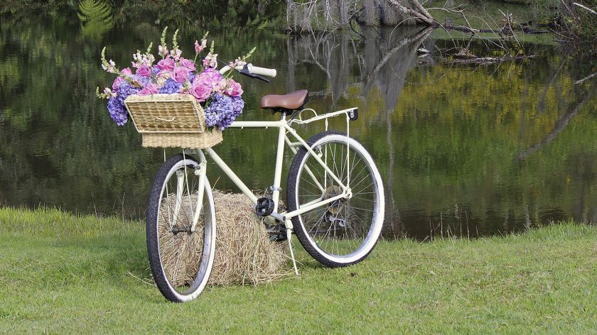 Fahrrad auf grüner Wiese mit Blumen dekoriert